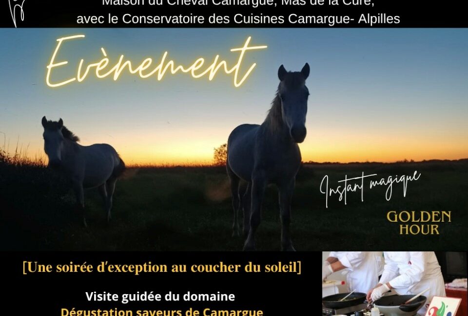 Soirée d'exception au coucher du soleil à la Maison du Cheval Camargue