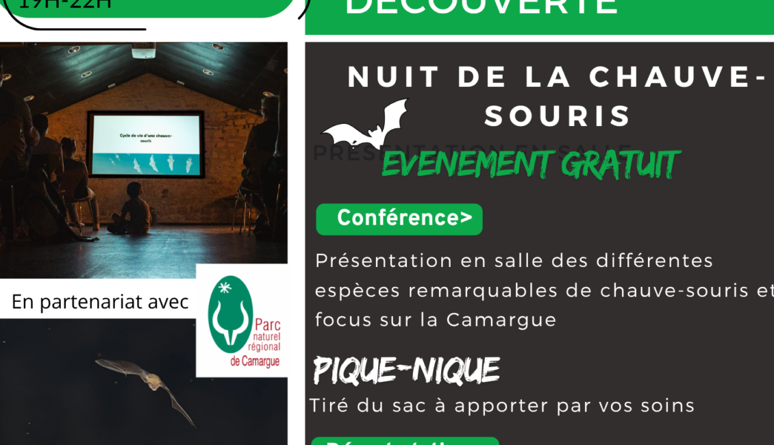 Nuit de la chauve-souris
