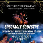 Spectacle équestre à Saint-Rémy-de-Provence