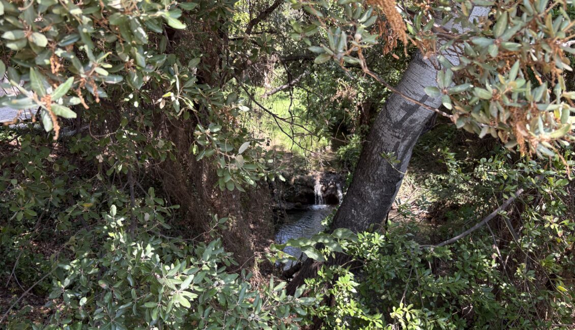 "L'Eau