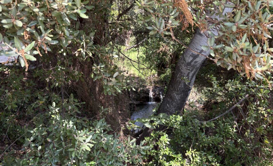 "L'Eau