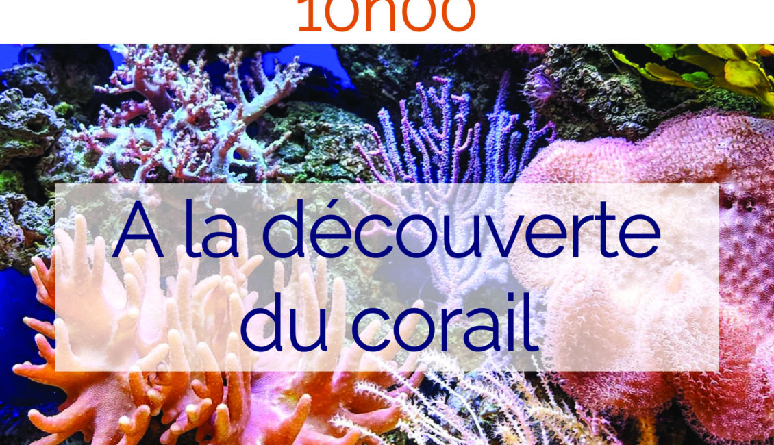 Atelier "A la découverte du corail"