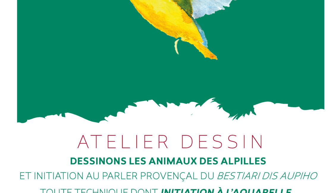 Dessinons les animaux des Alpilles : Lou bestiari dis aupiho