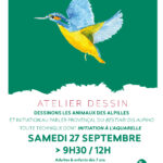 Dessinons les animaux des Alpilles : Lou bestiari dis aupiho