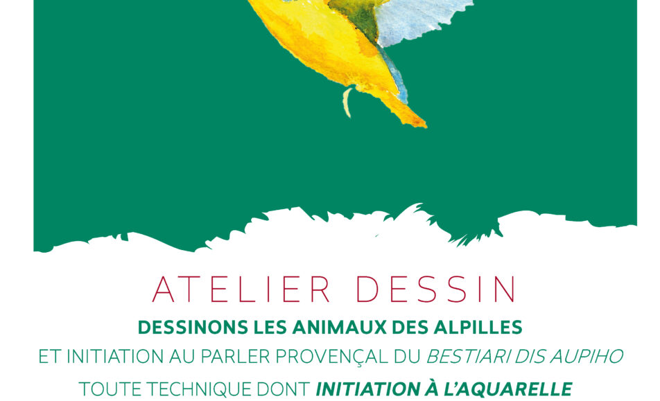 Dessinons les animaux des Alpilles : Lou bestiari dis aupiho