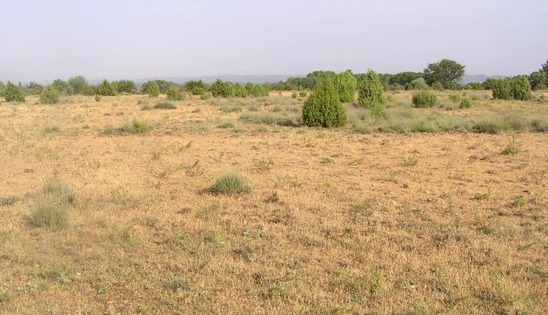 Histoire & écologie de la petite Crau