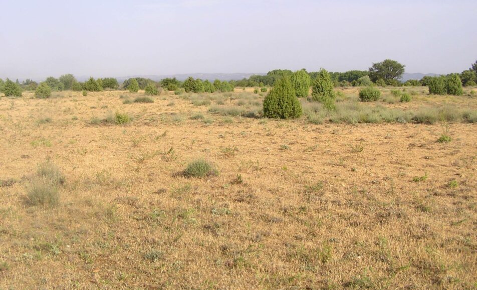 Histoire & écologie de la petite Crau
