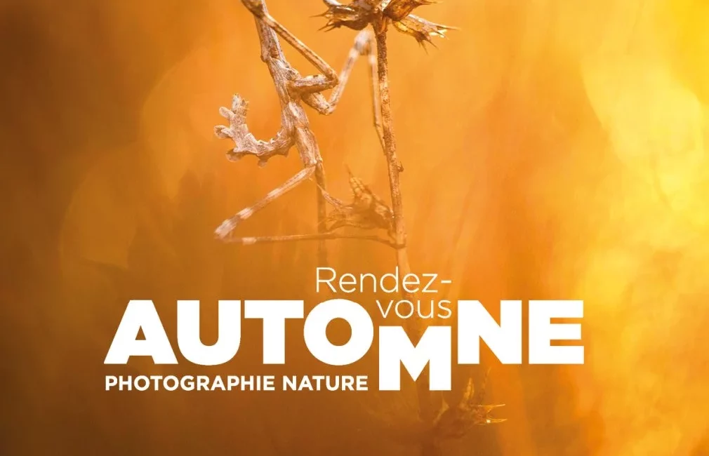 Rendez-vous Automne - Photographie Nature