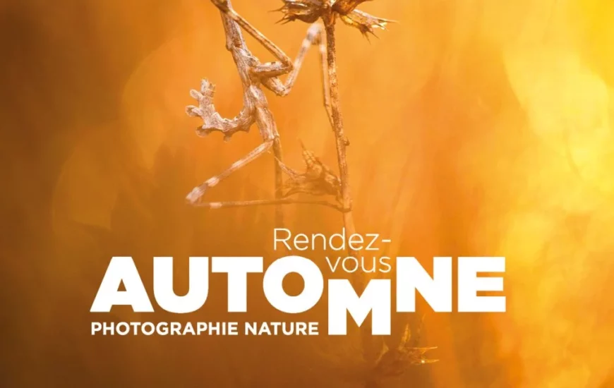Rendez-vous Automne  - Photographie Nature