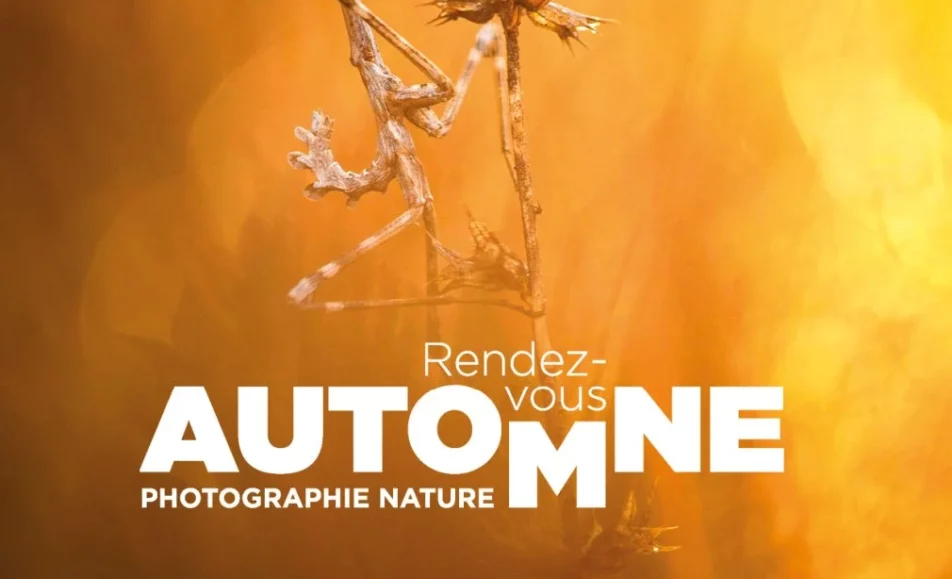 Rendez-vous Automne  - Photographie Nature
