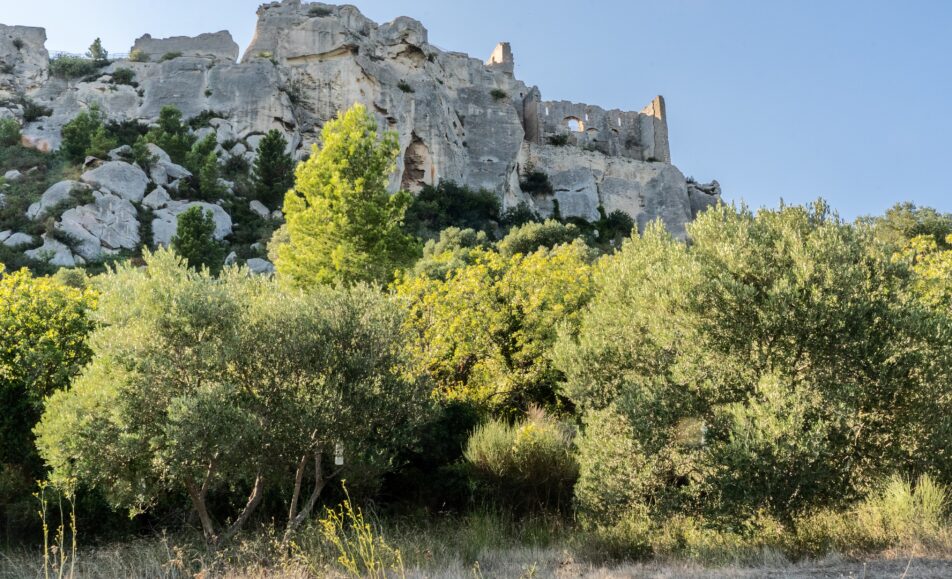 Les Alpilles par nature : Chemin paysan