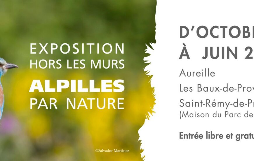 Exposition hors les murs : Les Alpilles par nature