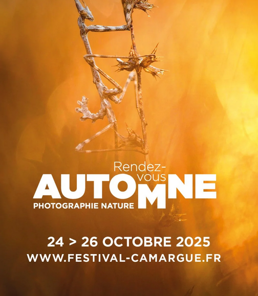 Rendez-Vous d'Automne : Festival de la Camargue et du Delta du Rhône