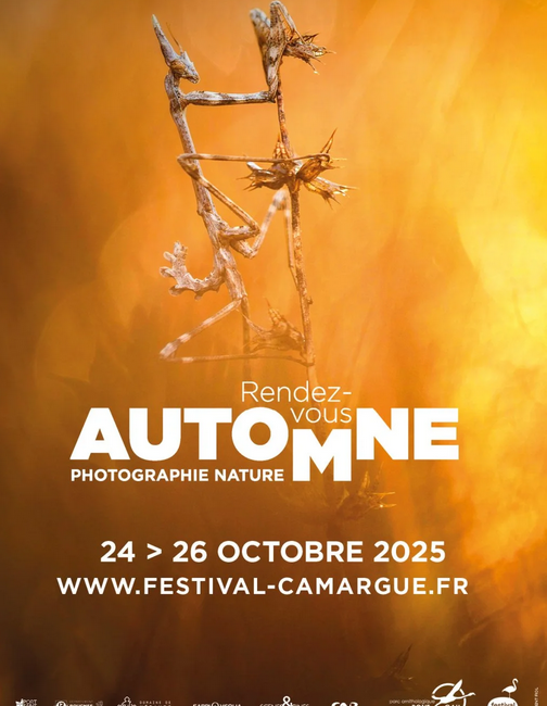 Rendez-Vous d'Automne : Festival de la Camargue et du Delta du Rhône