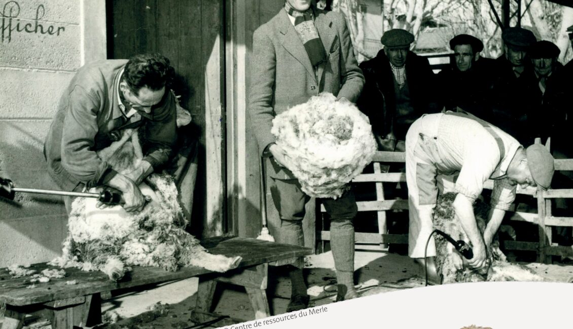 Rencontres du Mérinos d'Arles
