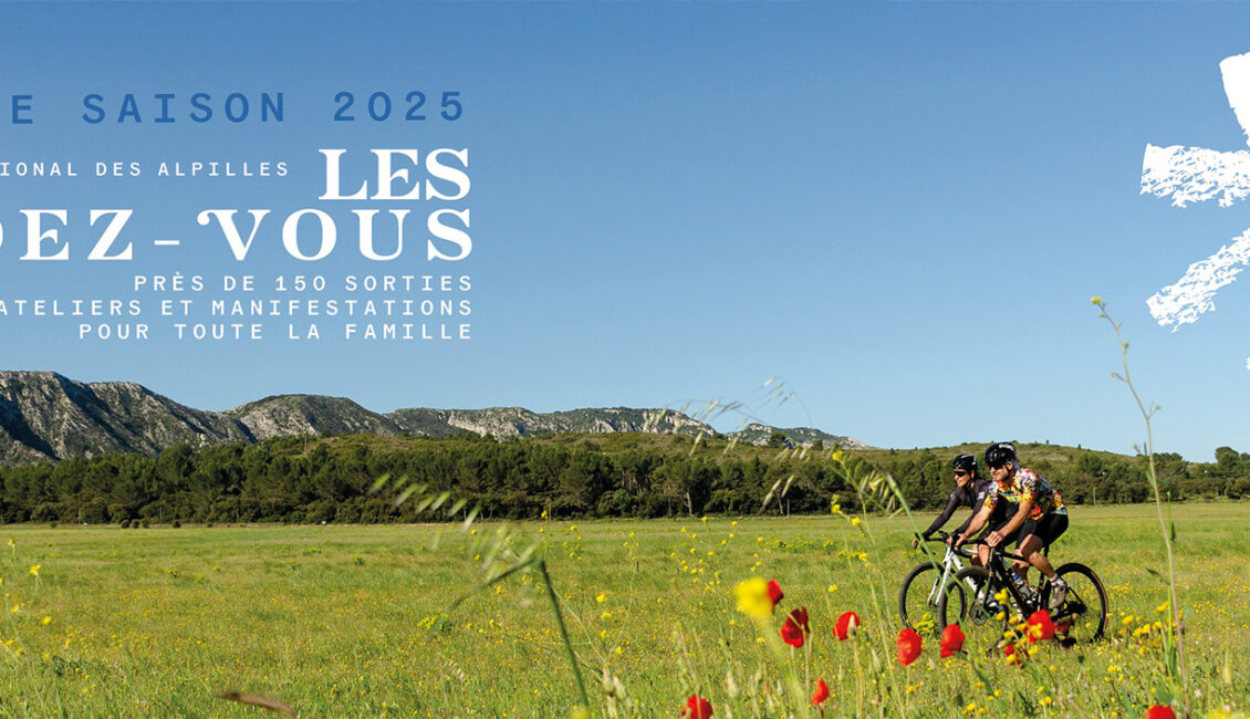 À la découverte des champignons des Alpilles