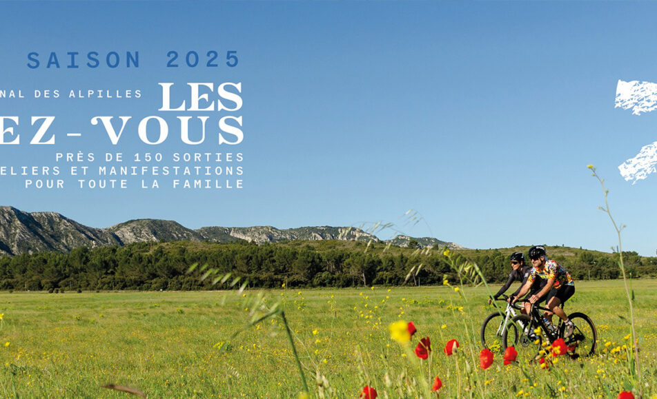 À la découverte des champignons des Alpilles
