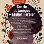 Sortie botanique + Atelier Herbier