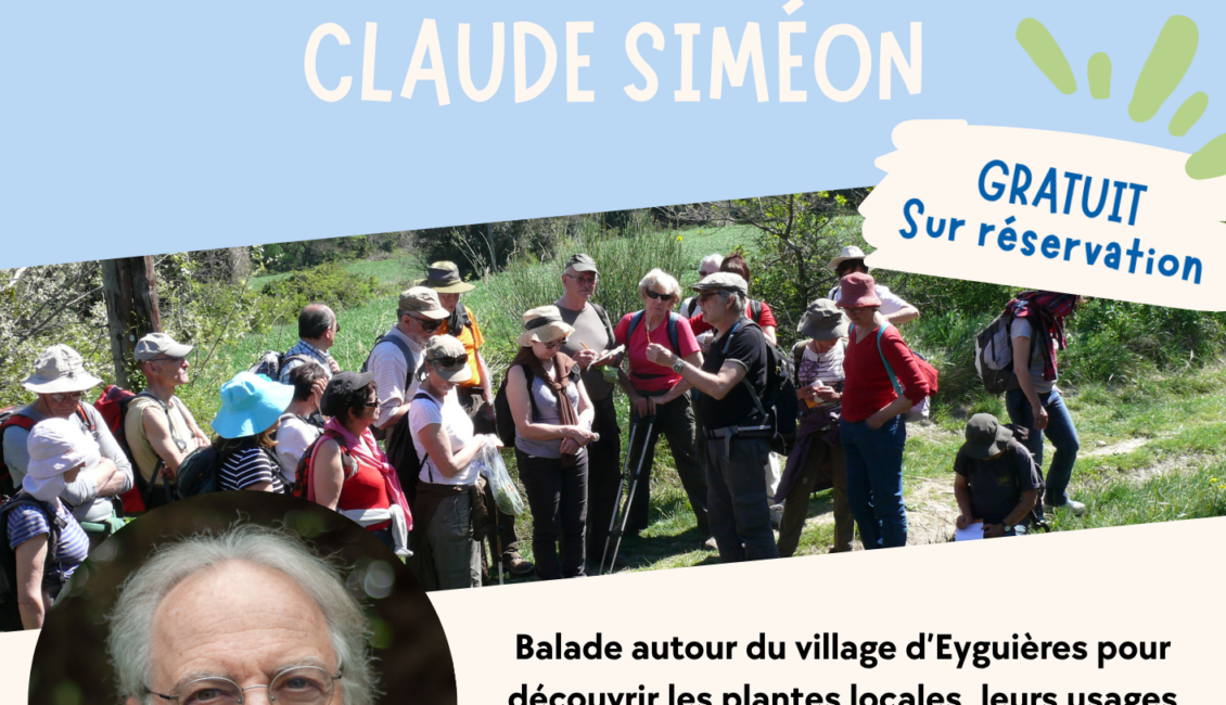 Atelier Agora : Sortie ethnobotanique