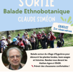 Atelier Agora : Sortie ethnobotanique