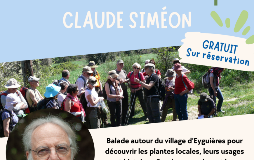 Atelier Agora : Sortie ethnobotanique