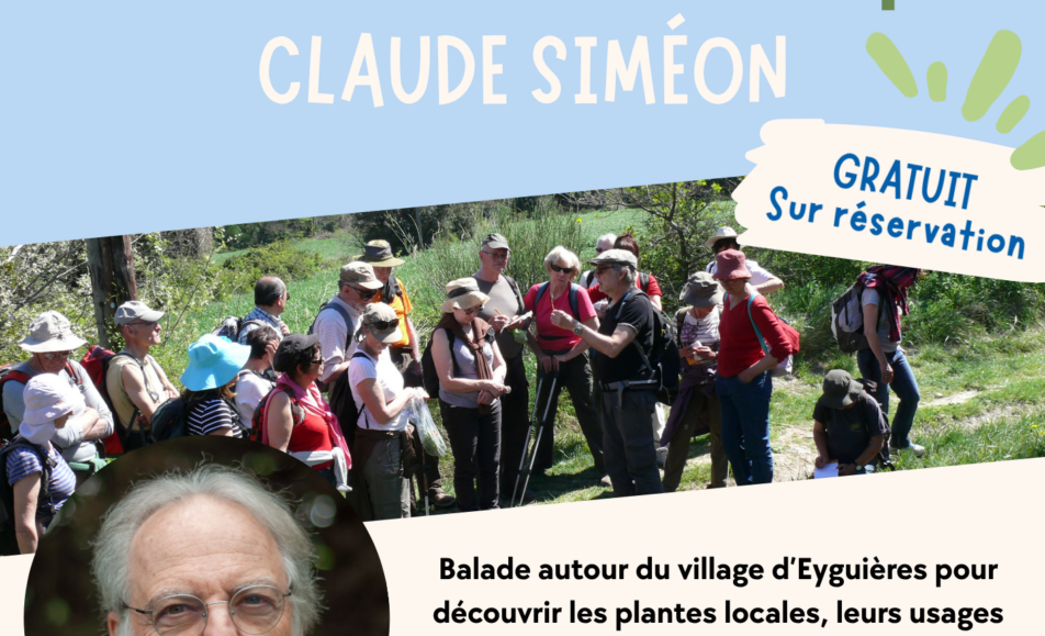 Atelier Agora : Sortie ethnobotanique