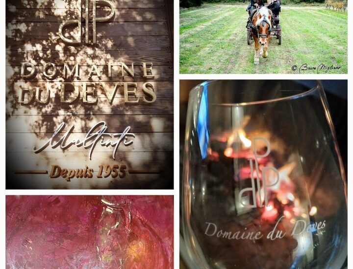 Les automnales du domaine Devès 3ème édition