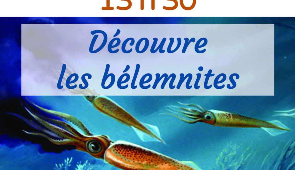 Atelier « A la recherche des bélemnites »