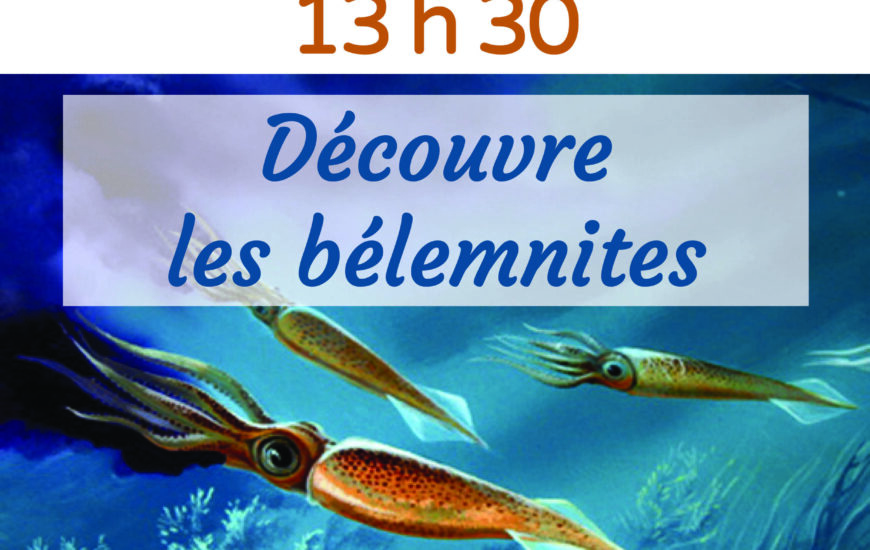 Atelier « A la recherche des bélemnites »