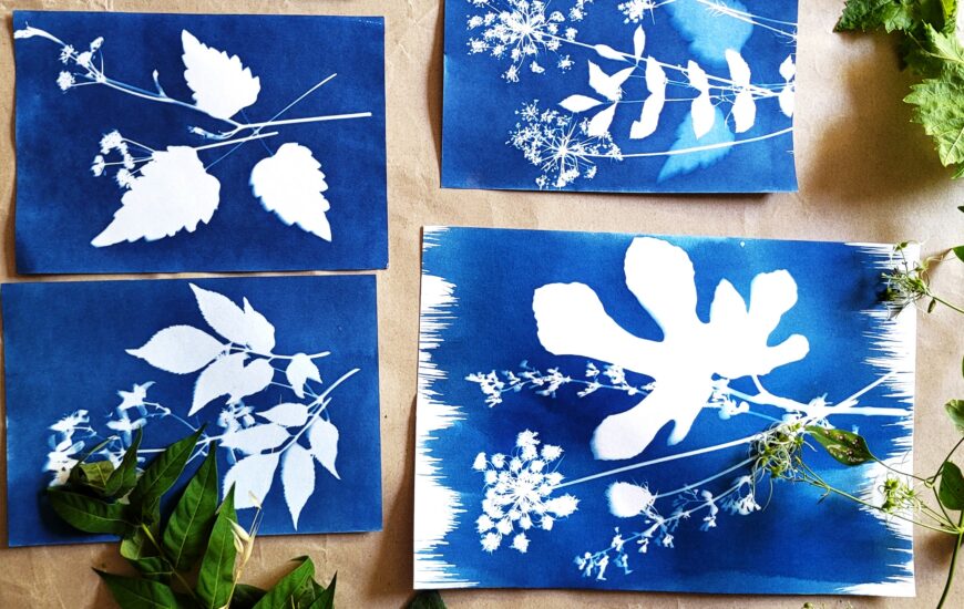 Ateliers carte de vœux en Cyanotype