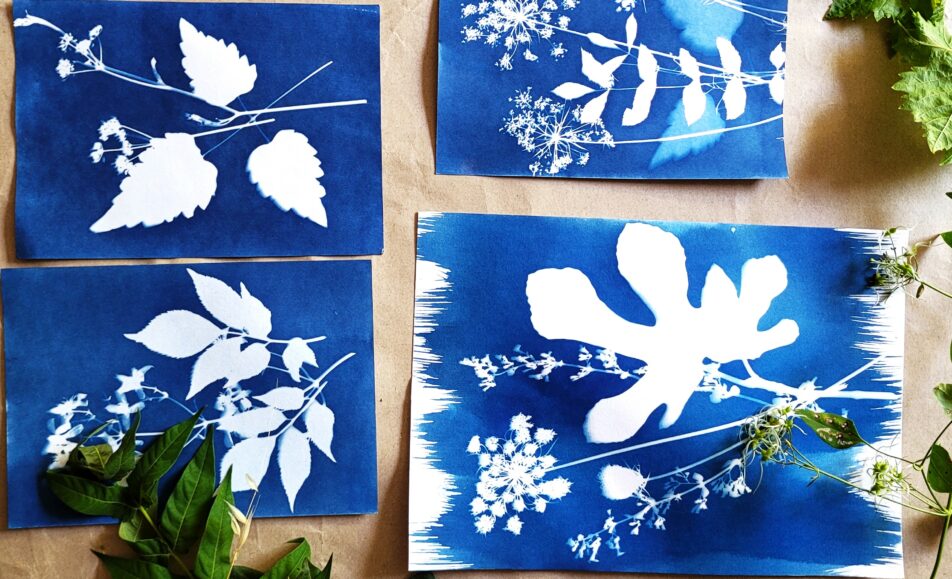 Ateliers carte de vœux en Cyanotype