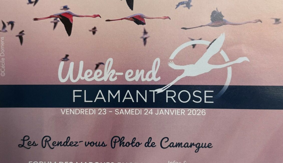 Week-end Flamant Rose au Parc Ornithologique