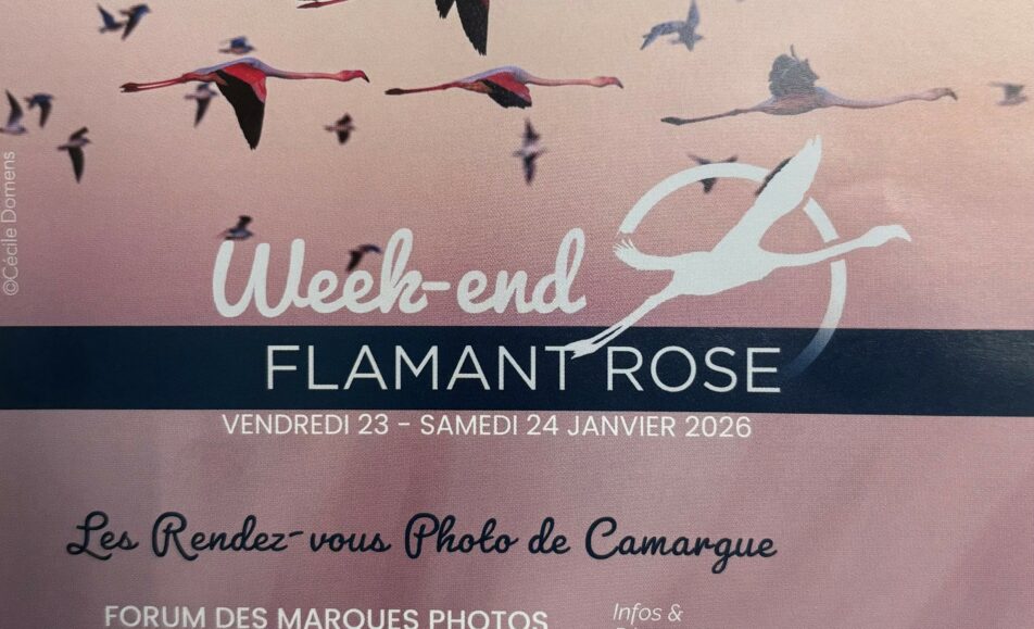 Week-end Flamant Rose au Parc Ornithologique