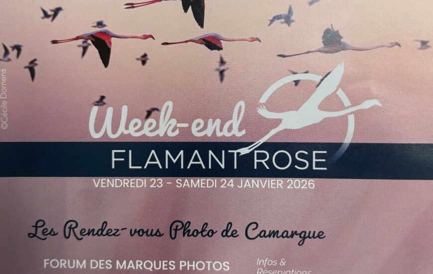 Week-end Flamant Rose - Parc Ornithologique