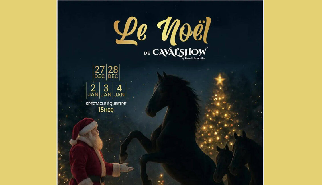 Le Noël de Caval'Show à Noves