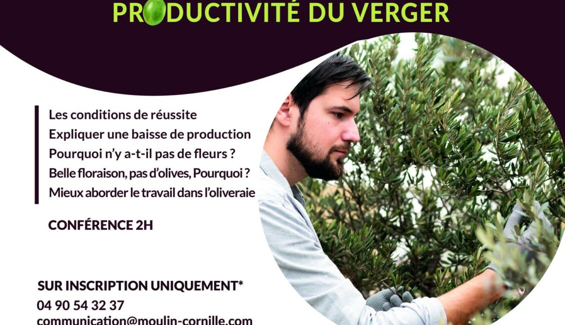 ATELIER CONFERENCE : TAILLER SES OLIVIERS