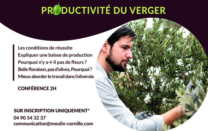 ATELIER CONFERENCE : TAILLER SES OLIVIERS