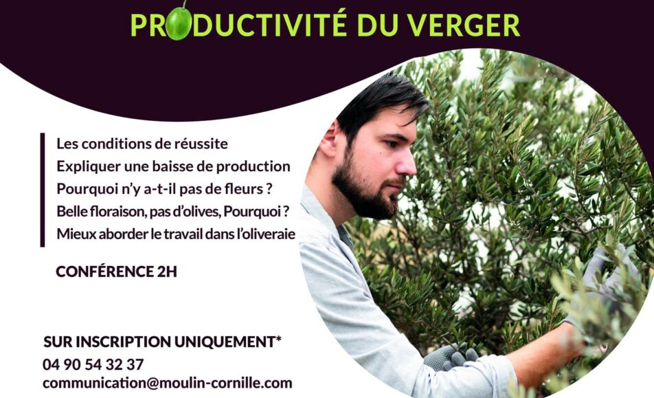 ATELIER CONFERENCE : TAILLER SES OLIVIERS