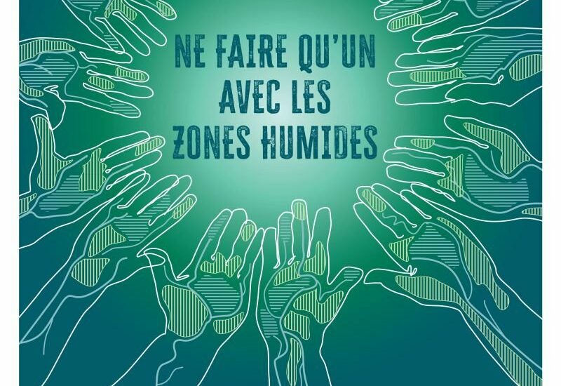 Les Journées Mondiales des zones humides à Arles et en Camargue