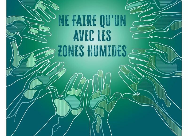 Les Journées Mondiales des zones humides à Arles et en Camargue