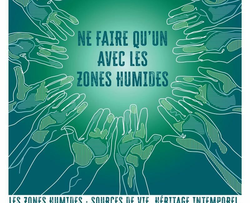 Les Journées Mondiales des zones humides à Arles et en Camargue