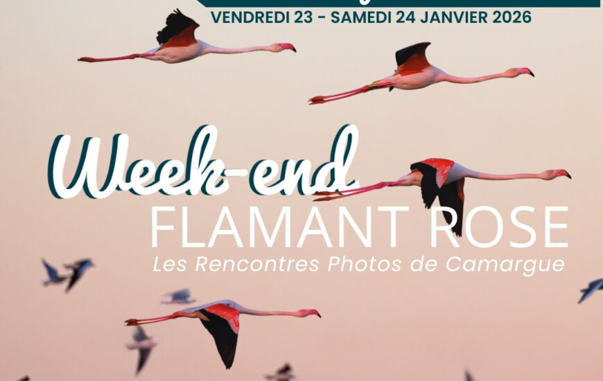 Week-end Flamant Rose - Parc Ornithologique
