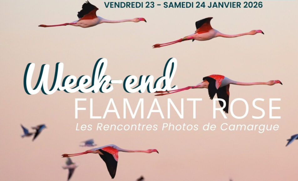 Week-end Flamant Rose - Parc Ornithologique