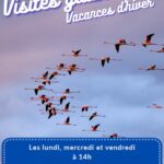 Visite Guidée Vacances d'Hiver