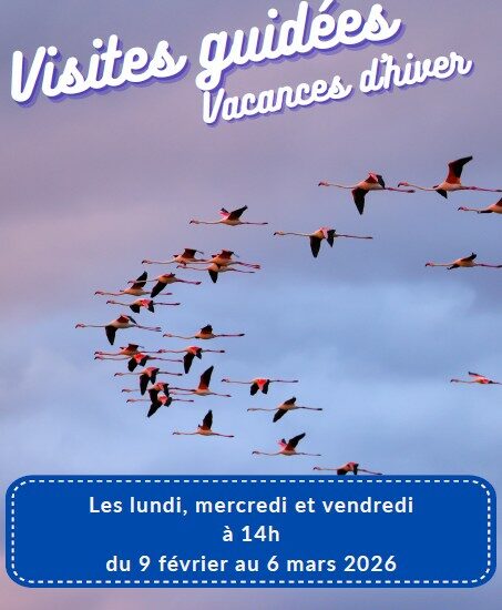 Visite Guidée Vacances d'Hiver