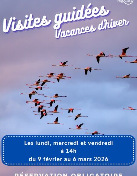 Visite Guidée Vacances d'Hiver