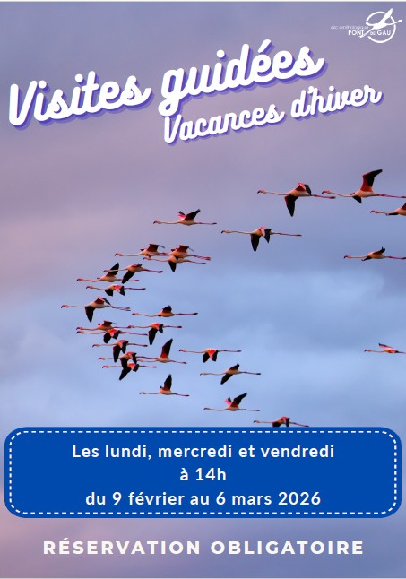 Visite Guidée Vacances d'Hiver