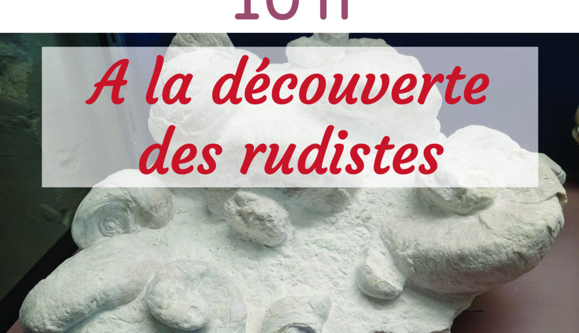 Atelier "A la découverte des rudistes"