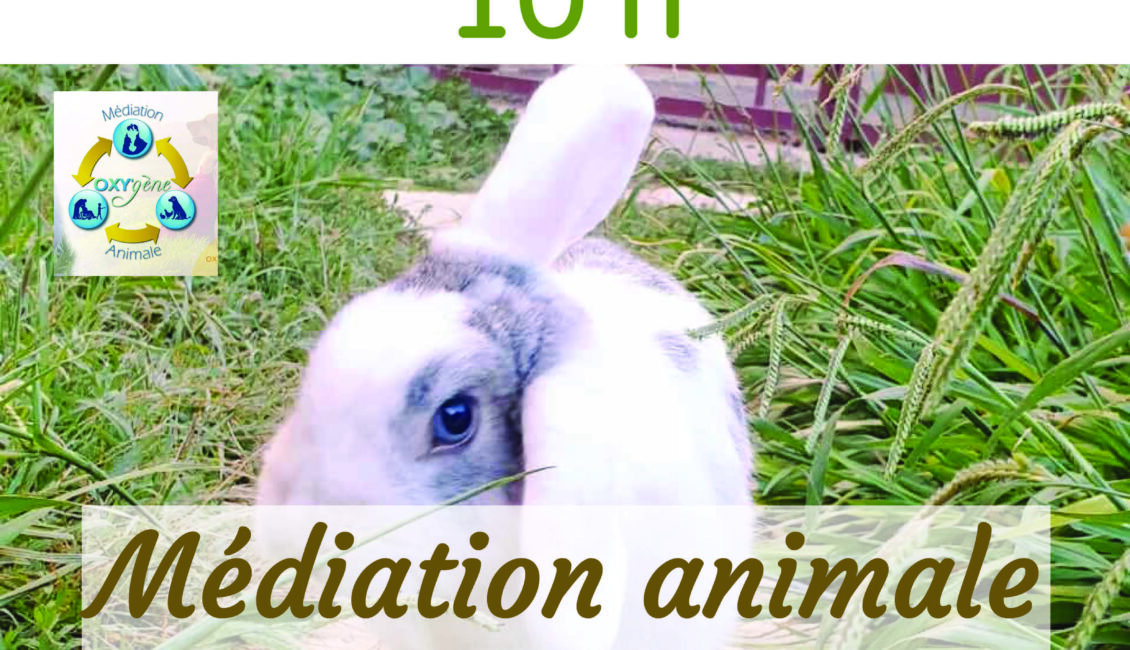 Atelier "Médiation animale"
