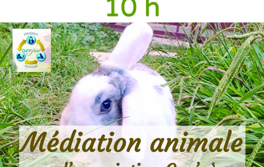 Atelier "Médiation animale"